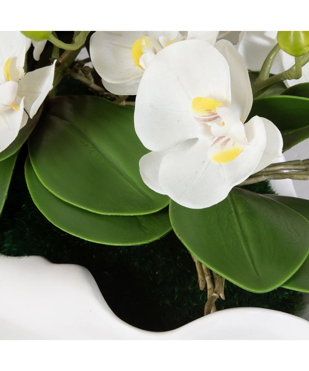 Opulence Orchid Centerpiece With Bowl - Image 2