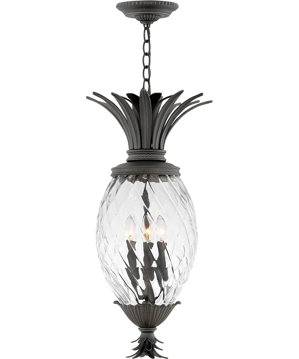 Plantation 4-Light Medium Outdoor Hanging Lantern in Museum Black