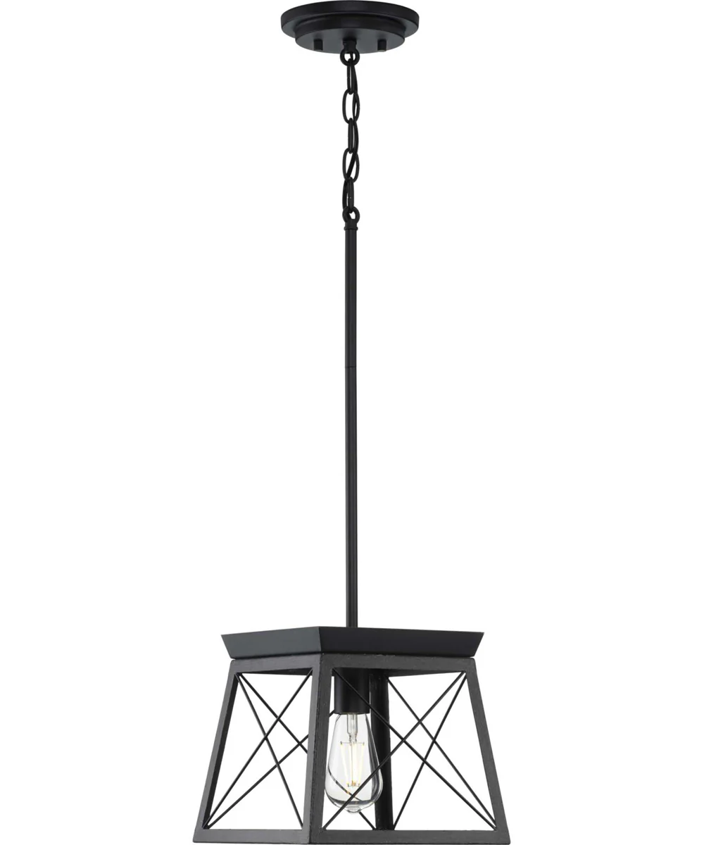 Briarwood 1-Light Textured Cerused Black Farmhouse Style Hanging Mini-Pendant Light Textured Black - Image 3