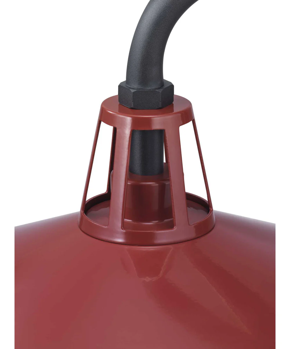 Cedar Springs 1-Light Extra Large Wall Lantern Red - Image 3