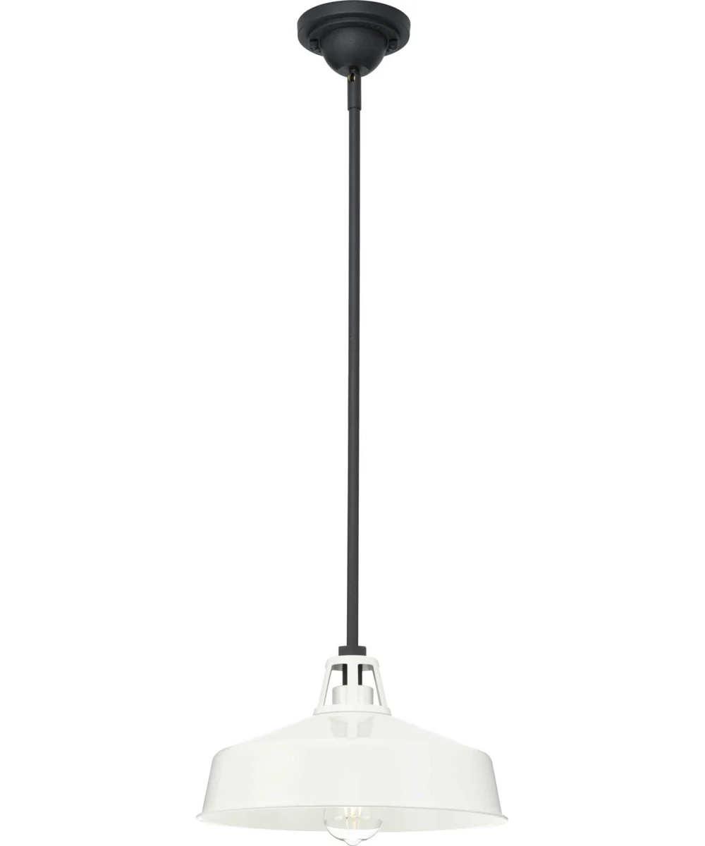 Cedar Springs  1-Light Textured Black Metal Shade Farmhouse Outdoor Hanging Light White - Image 4