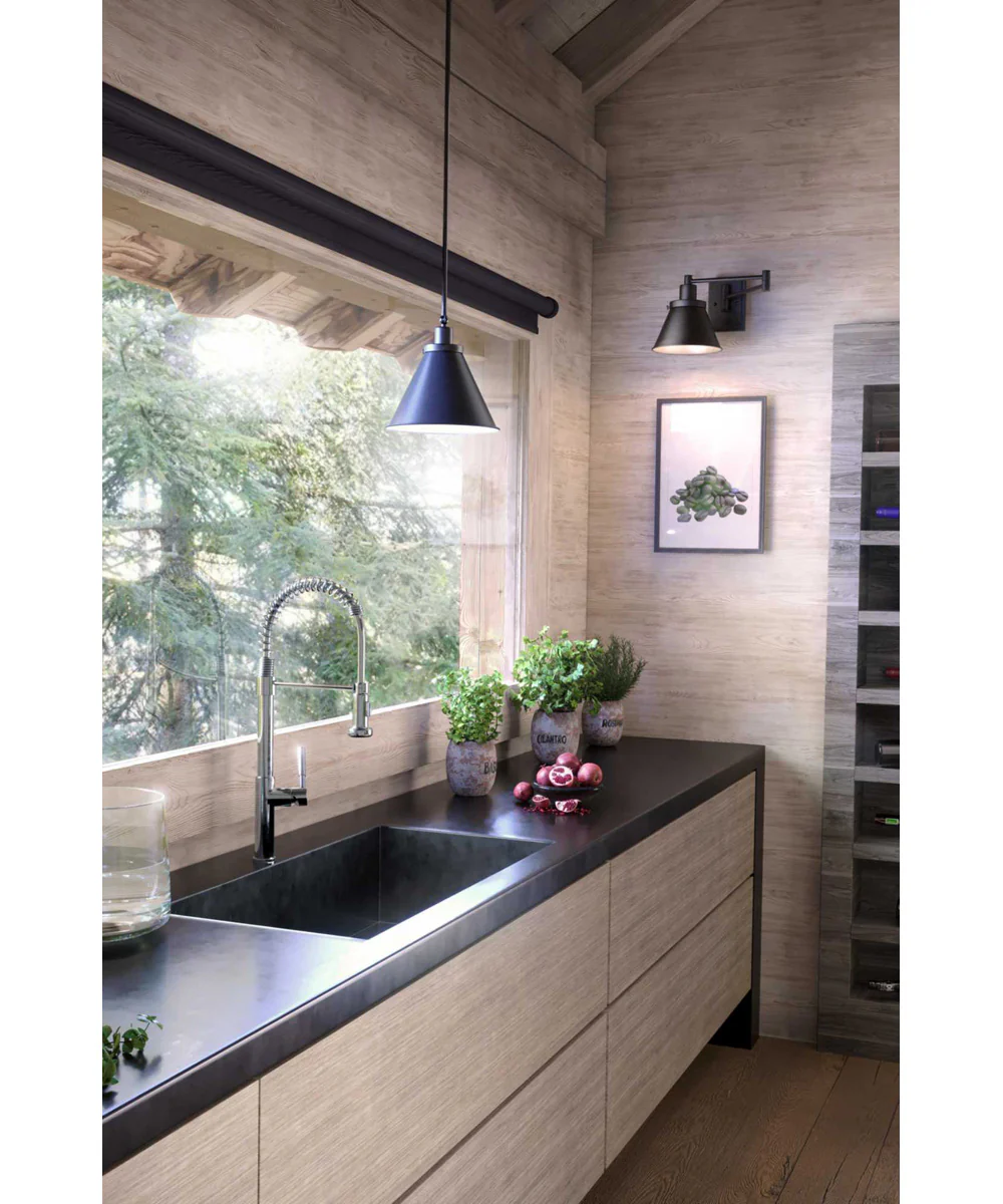 Hinton 1-Light Vintage Style Hanging Pendant Light Matte Black - Image 4