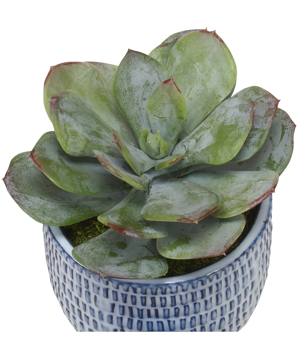 Puebla Greenery In Blue & White Pots, Set of 3 - Image 3