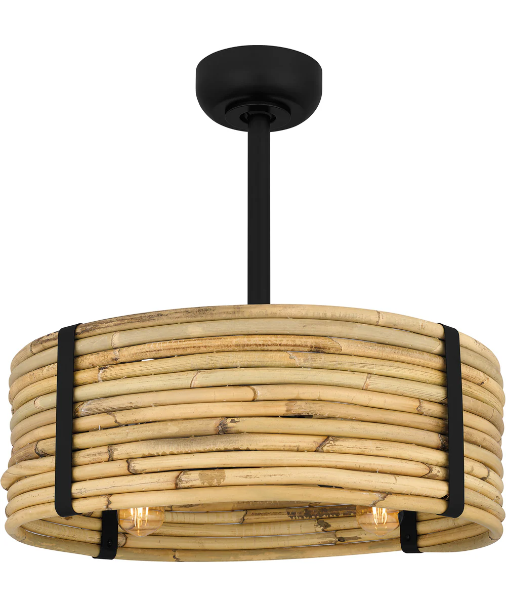 Quoizel Fandelier 4-light Fandelier Matte Black - Image 6