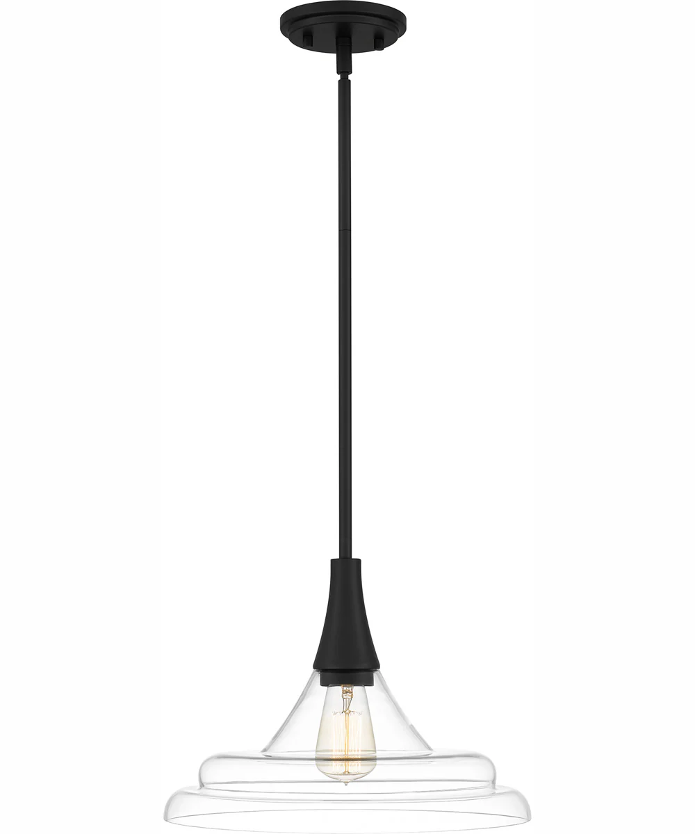 Quoizel Pendant 1-light Pendant Matte Black - Image 4