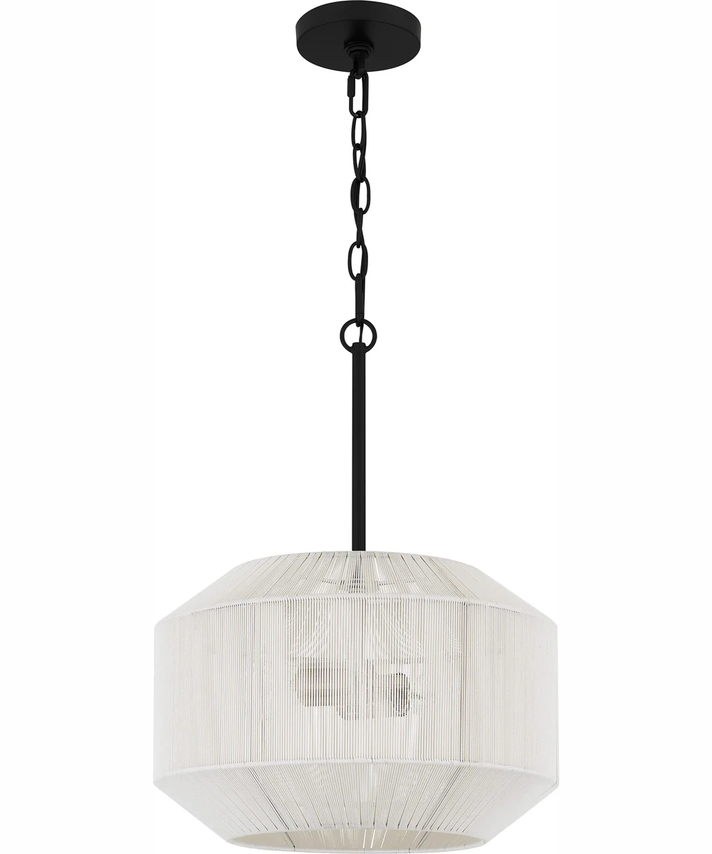 Quoizel Pendant 2-light Pendant Matte Black - Image 3