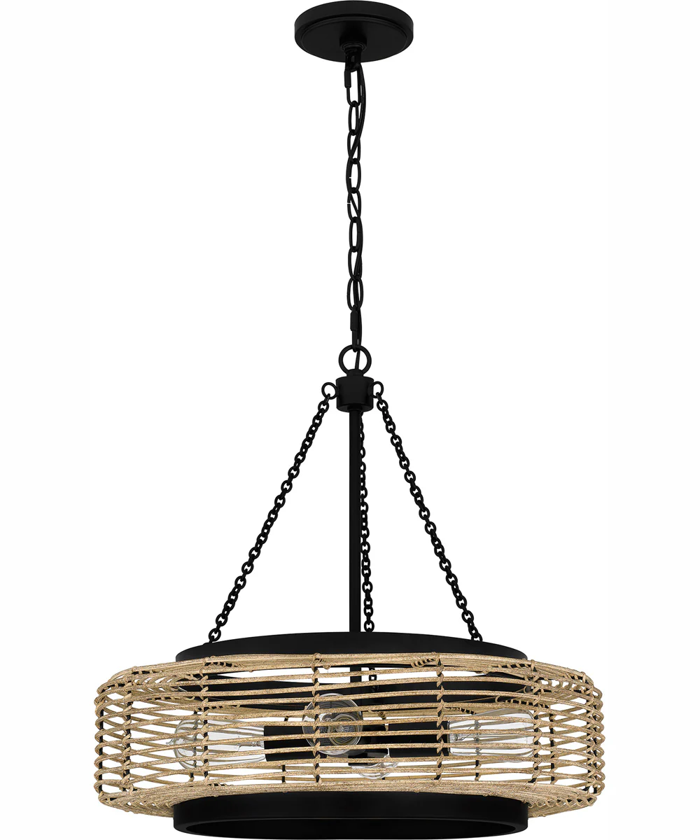 Quoizel Pendant 4-light Pendant Matte Black - Image 3