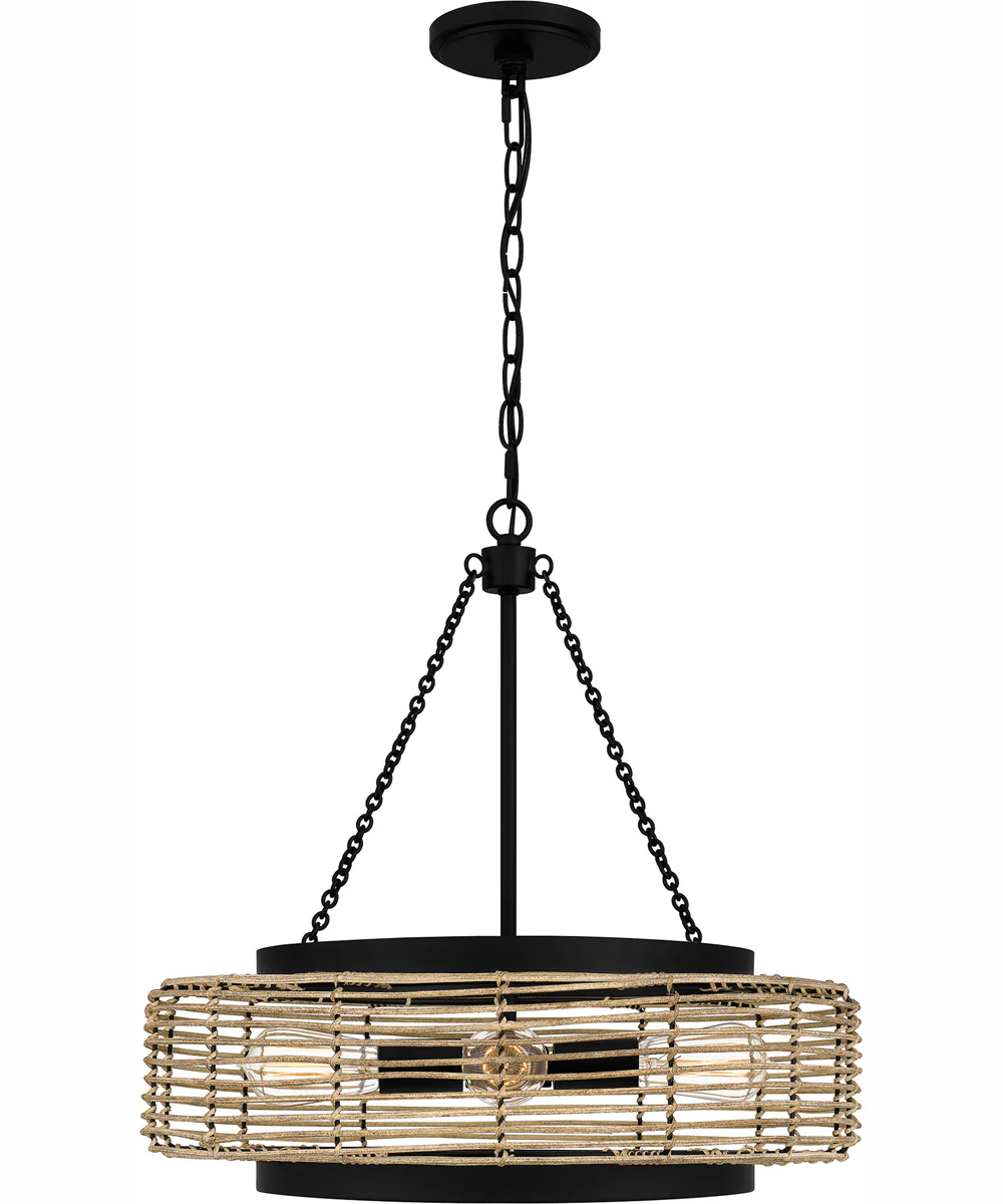 Quoizel Pendant 4-light Pendant Matte Black - Image 4