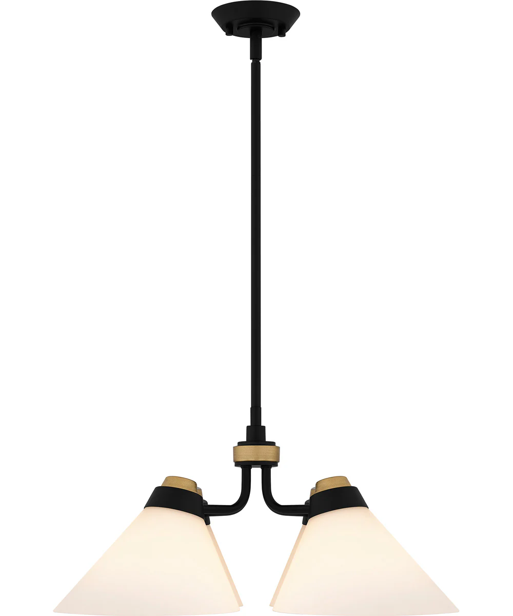 Quoizel Pendant Large 4-light Pendant Matte Black - Image 3