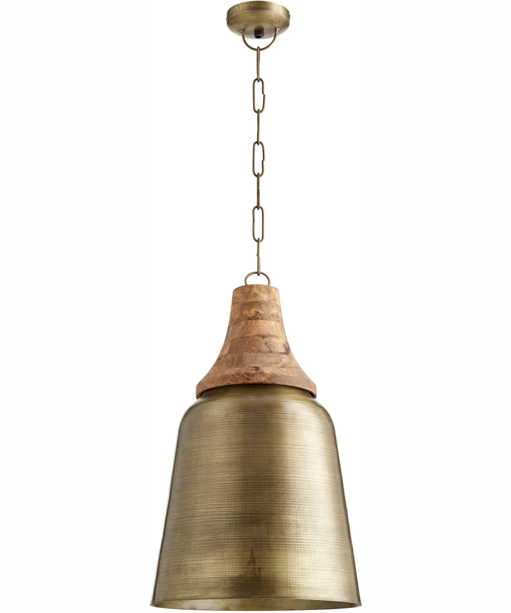 1-light Pendant Artisan's Brass