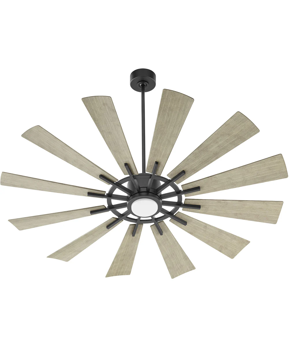 60" Cirque 1-light LED Indoor/Outdoor Patio Ceiling Fan Matte Black