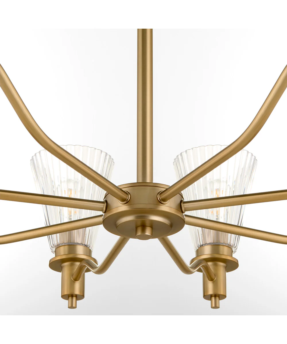 Lawton 8-light Chandelier Brushed Brass - Image 4