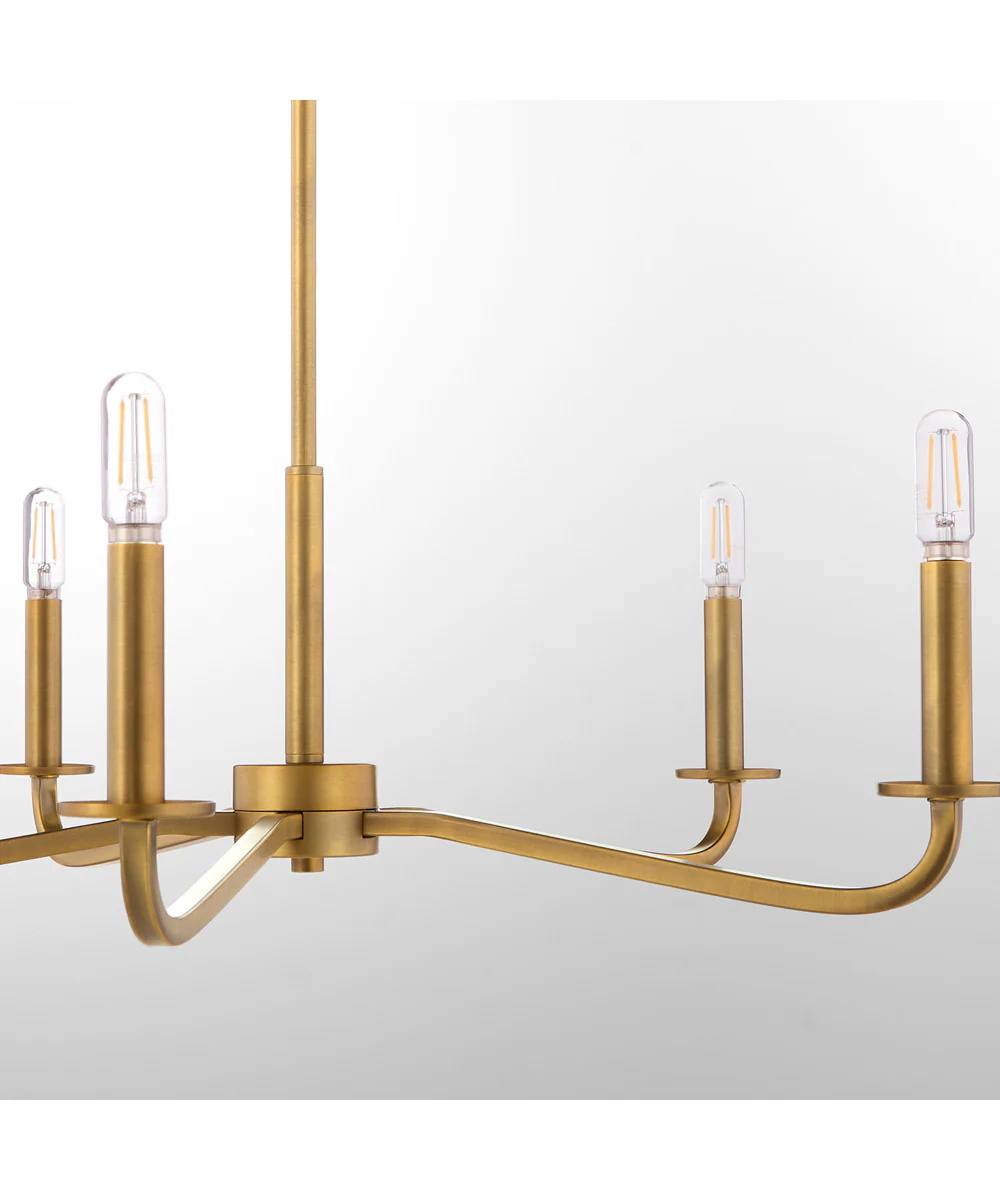 Rutherford 5-light Chandelier Brushed Brass - Image 4