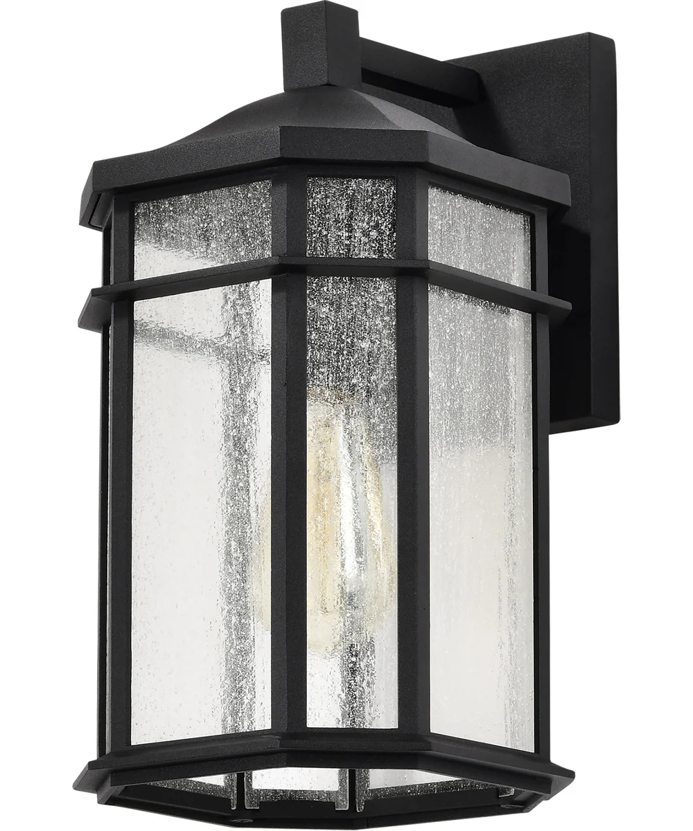 Raiden 1-Light Outdoor Matte Black - Image 2