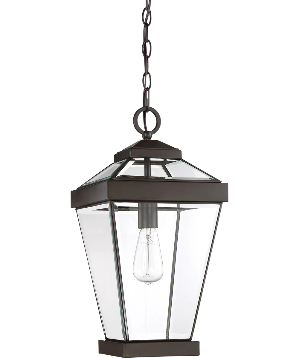 Ravine Large 1-light Outdoor Pendant Light Western Bronze - Image 3