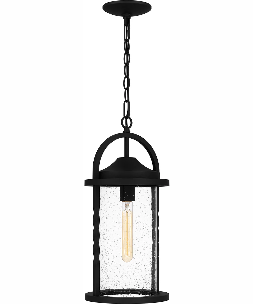 Reece Large 1-light Outdoor Pendant Light  Coastal Armour Aluminum Earth Black