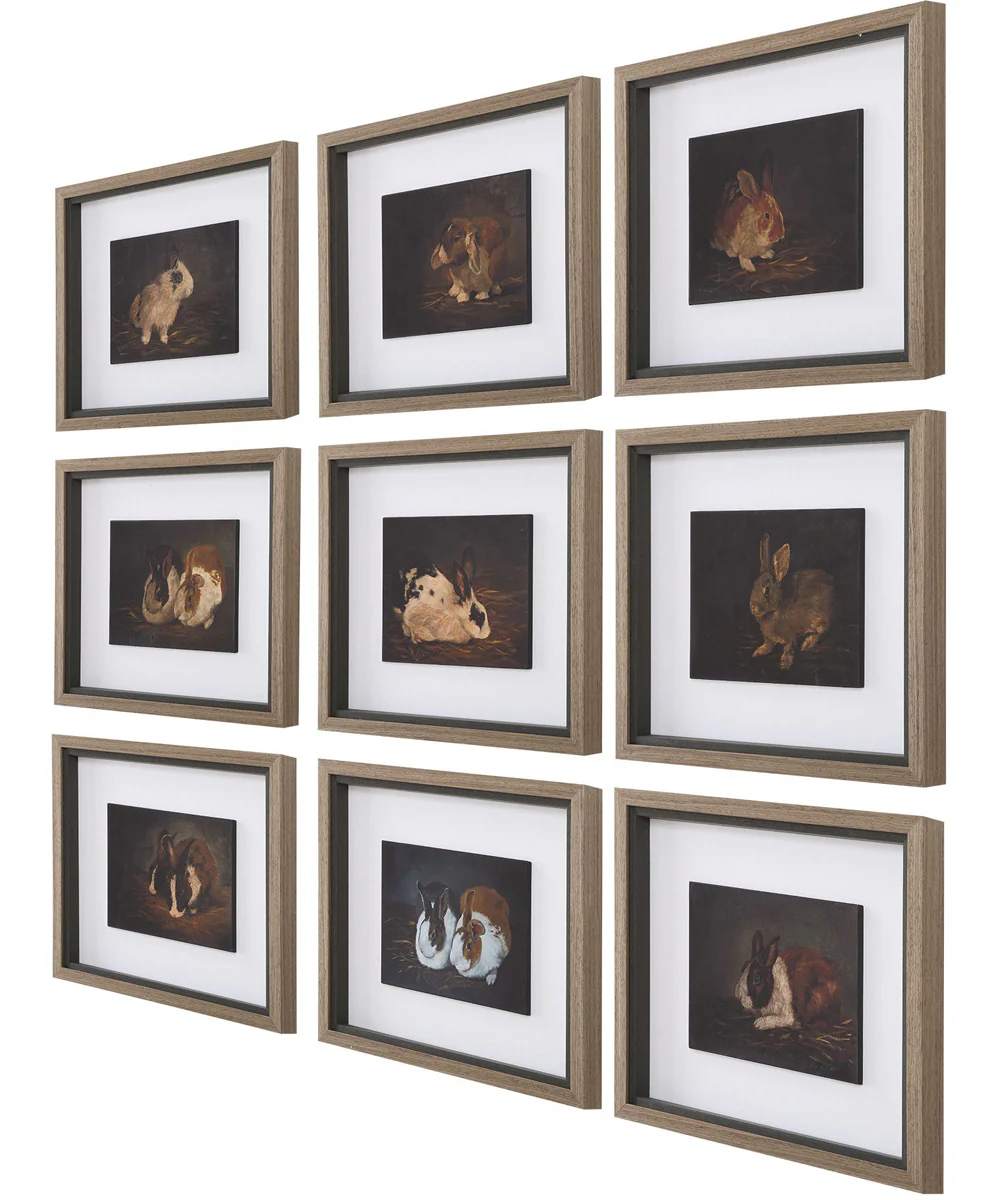Resting Bunny Framed Prints Set/9 - Image 4