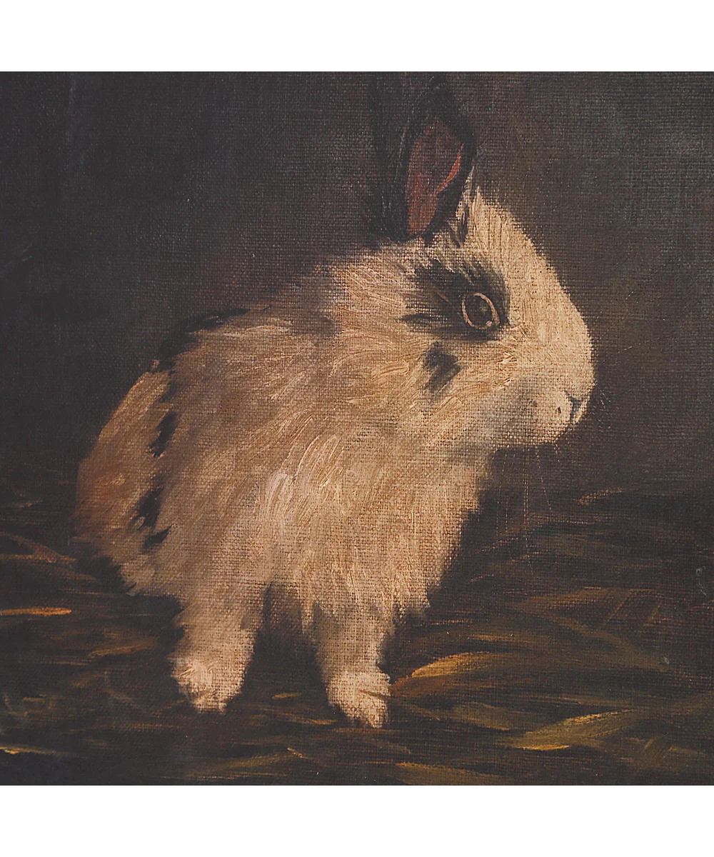 Resting Bunny Framed Prints Set/9 - Image 5
