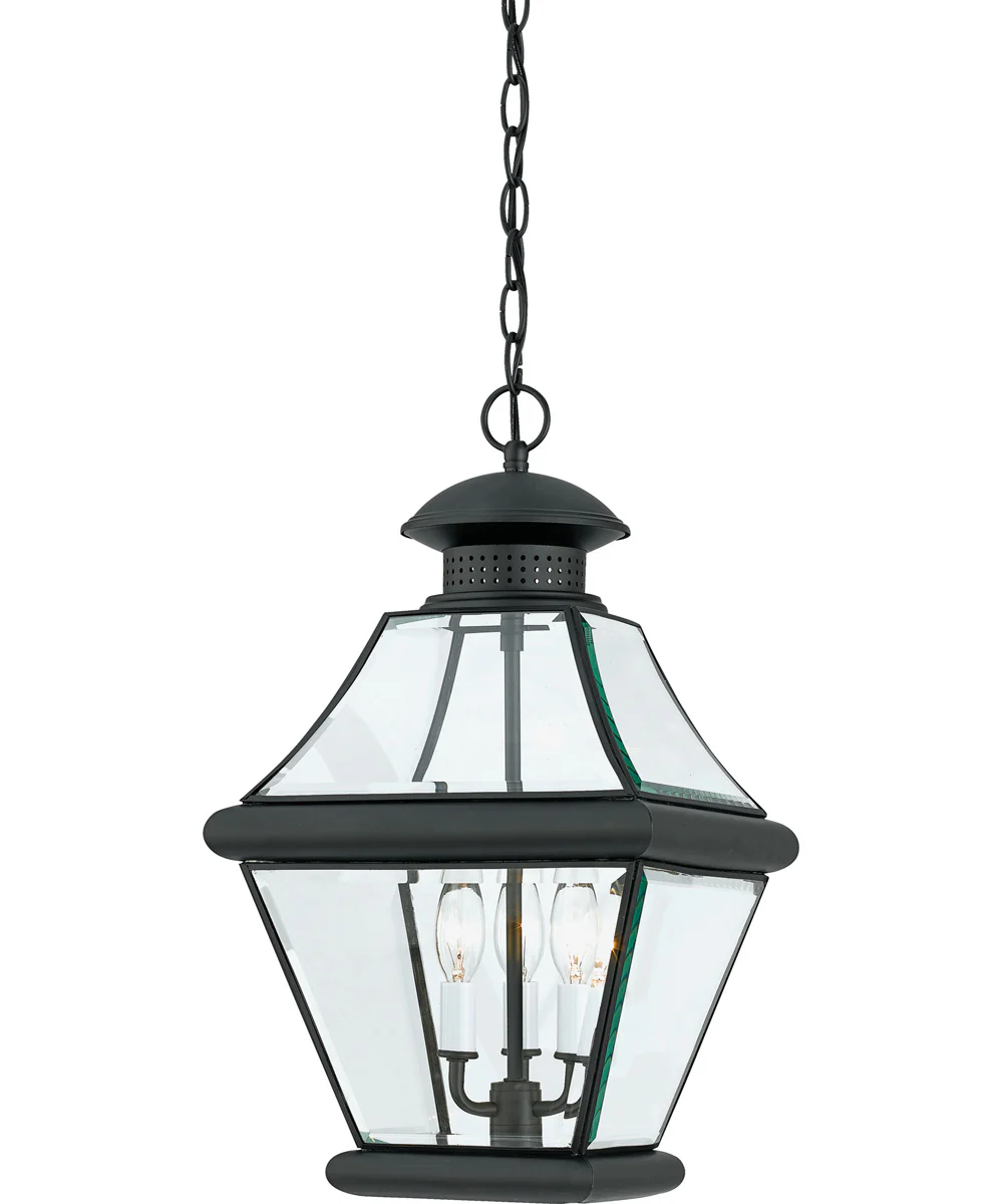 Rutledge Large 3-light Outdoor Pendant Light Mystic Black - Image 2