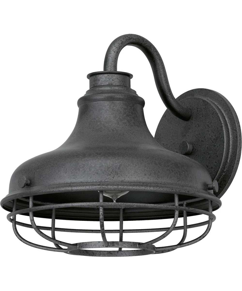 Saluda Large 1-light Outdoor Wall Light Distressed Iron - Image 3