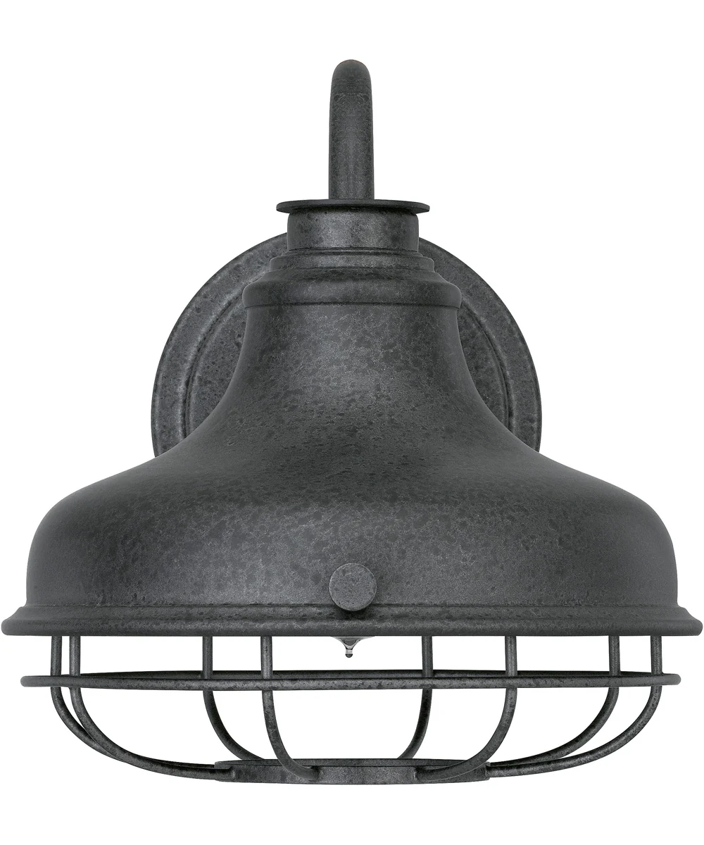 Saluda Large 1-light Outdoor Wall Light Distressed Iron - Image 4
