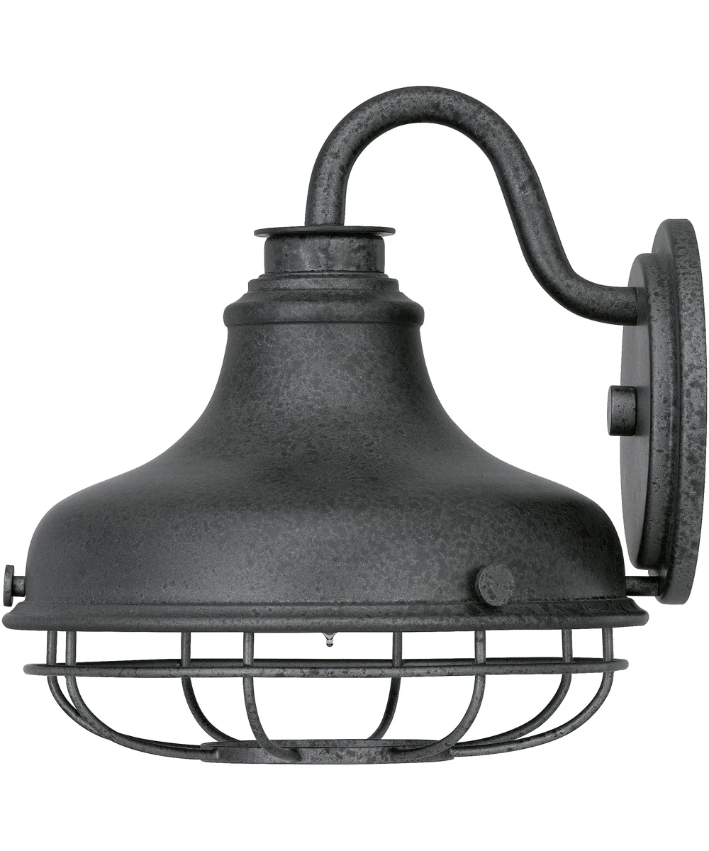 Saluda Large 1-light Outdoor Wall Light Distressed Iron - Image 5
