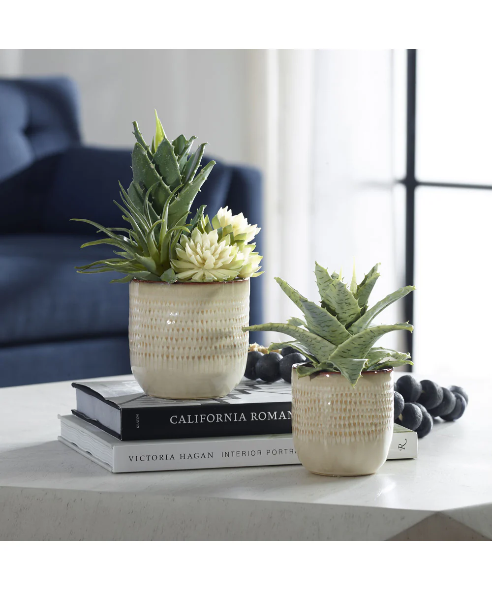 Seaside Succulents, Set of 2 - Image 2