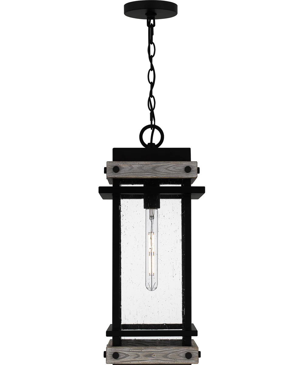 Strader Large 1-light Outdoor Pendant Light Matte Black - Image 3