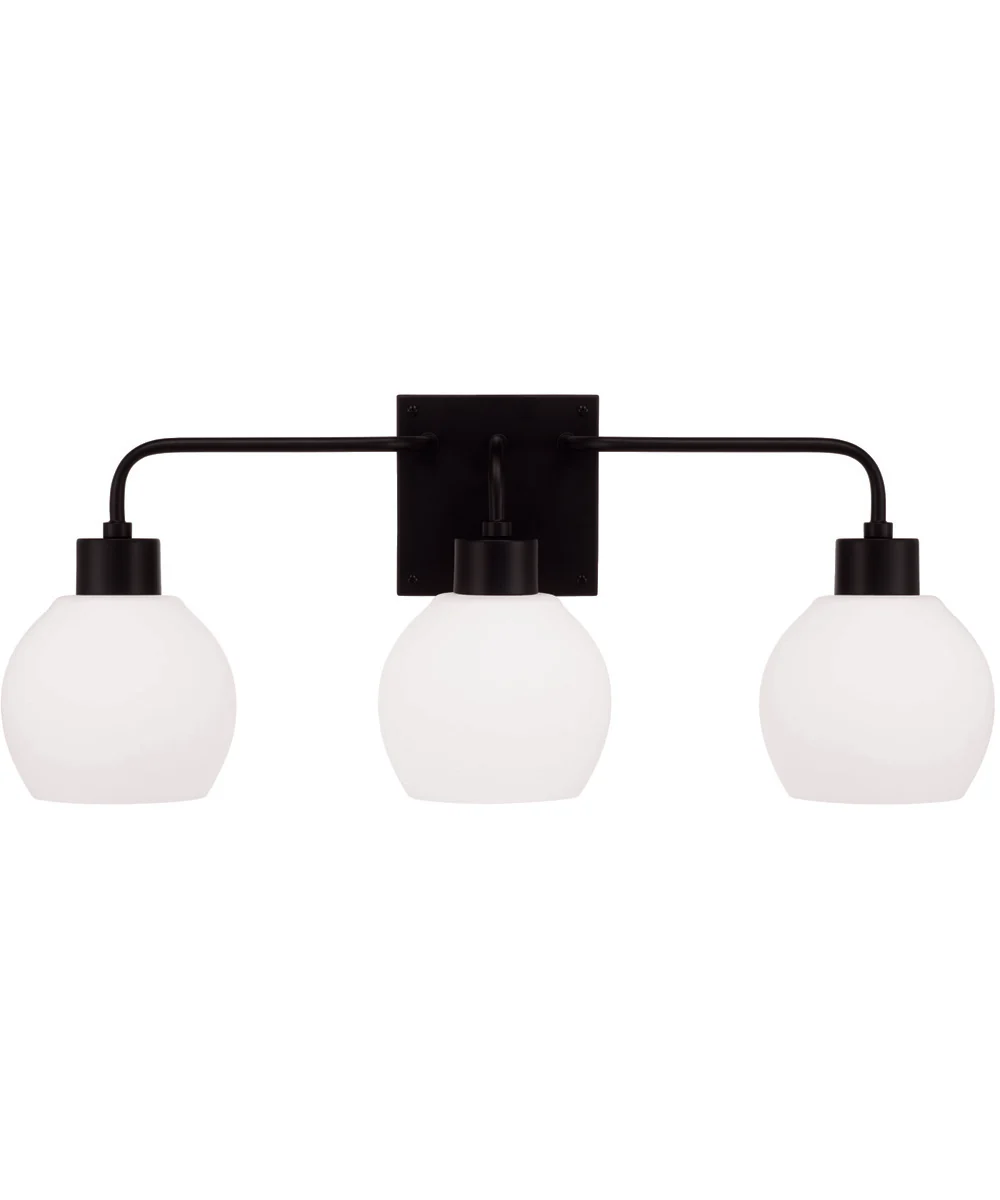 Tanner 3-Light Vanity Matte Black - Image 5