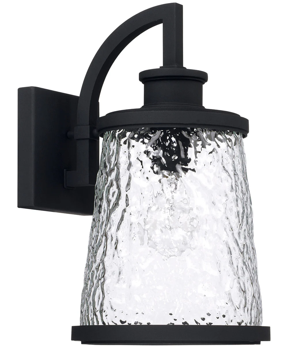 Tory 1-Light Outdoor Wall Mount Rain or Shine - Black with Clear Organic Glass