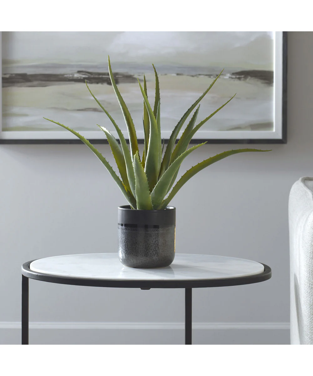 Tucson Aloe Planter - Image 2