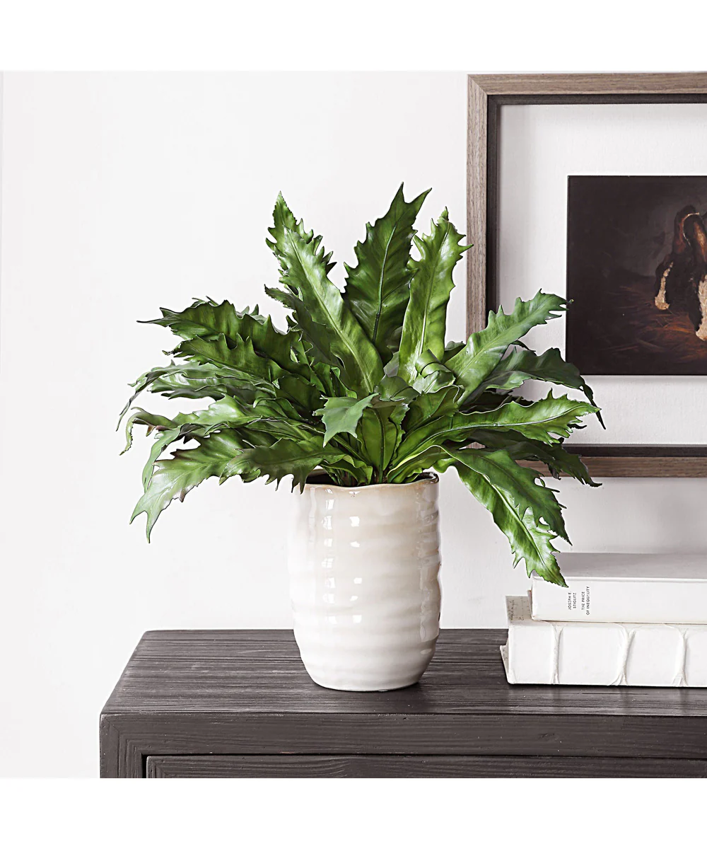 Verdure Fern In Glazed Pot - Image 2