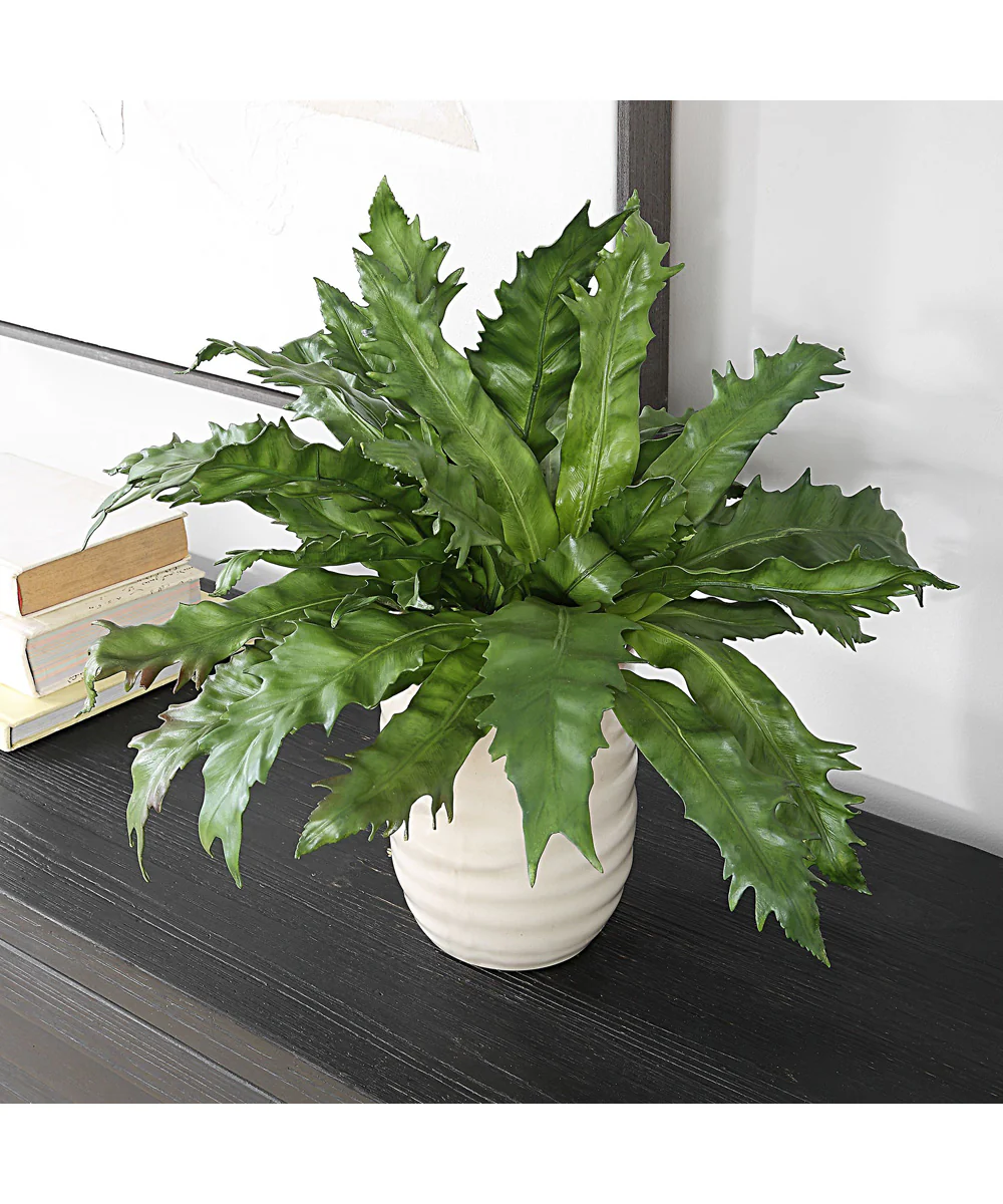 Verdure Fern In Glazed Pot - Image 3