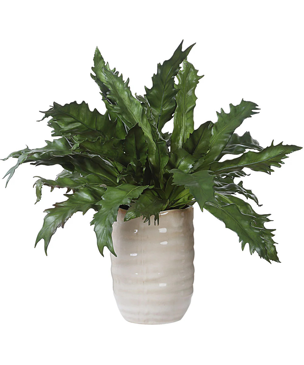 Verdure Fern In Glazed Pot - Image 4