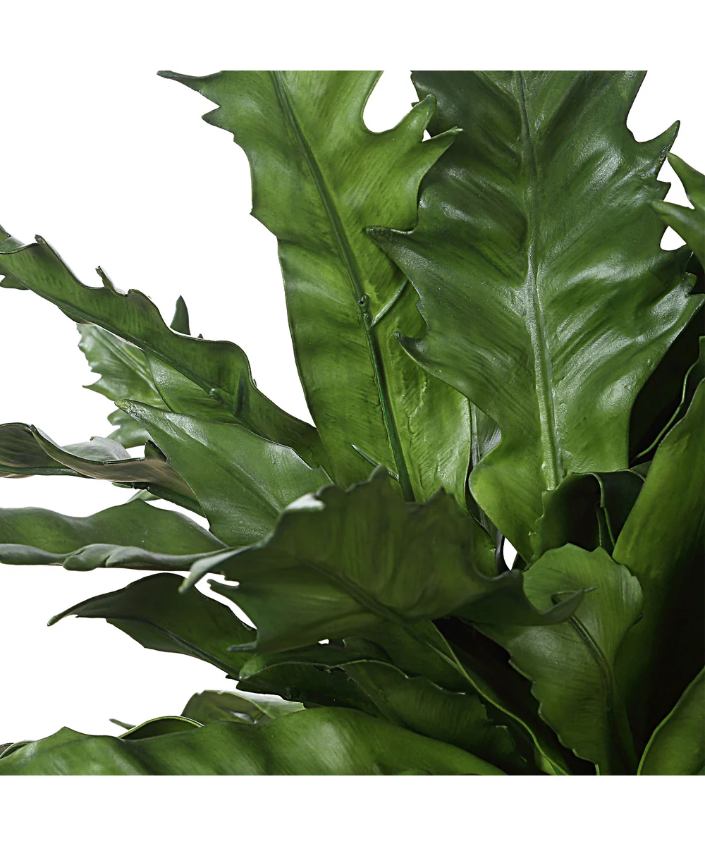 Verdure Fern In Glazed Pot - Image 6