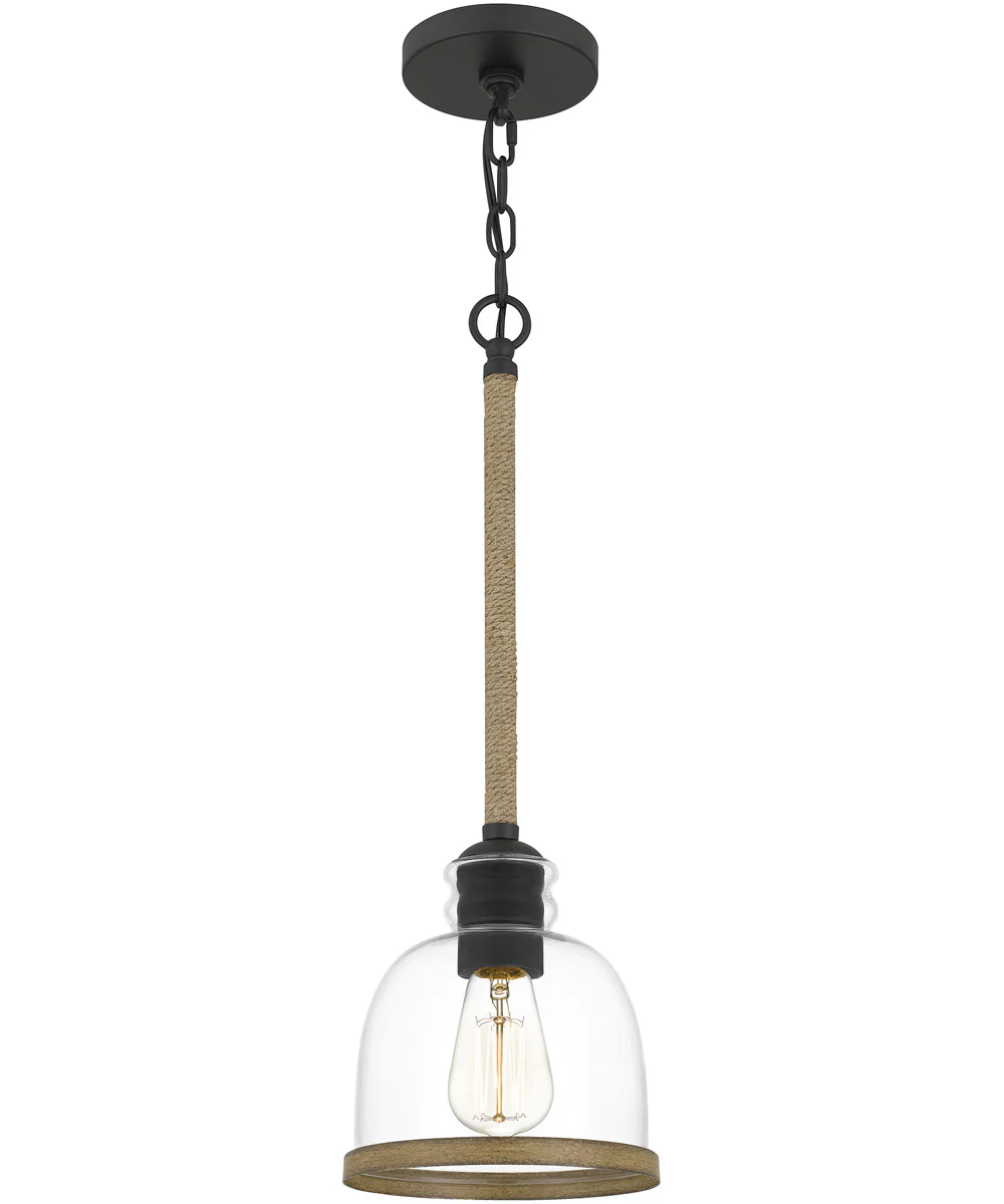 Wagner Small 1-light Mini Pendant Matte Black - Image 4