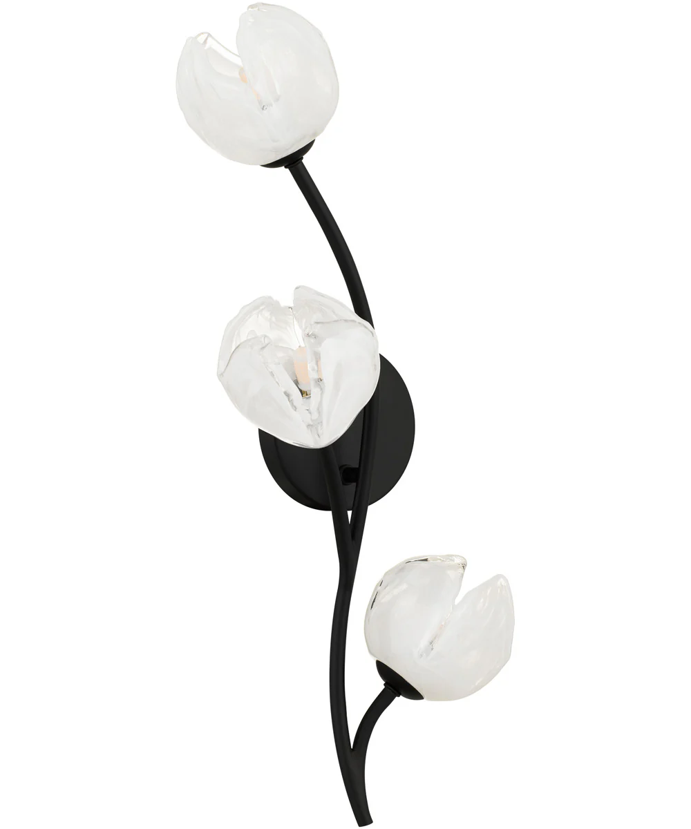 Walker 3-light Wall Sconce Matte Black - Image 5