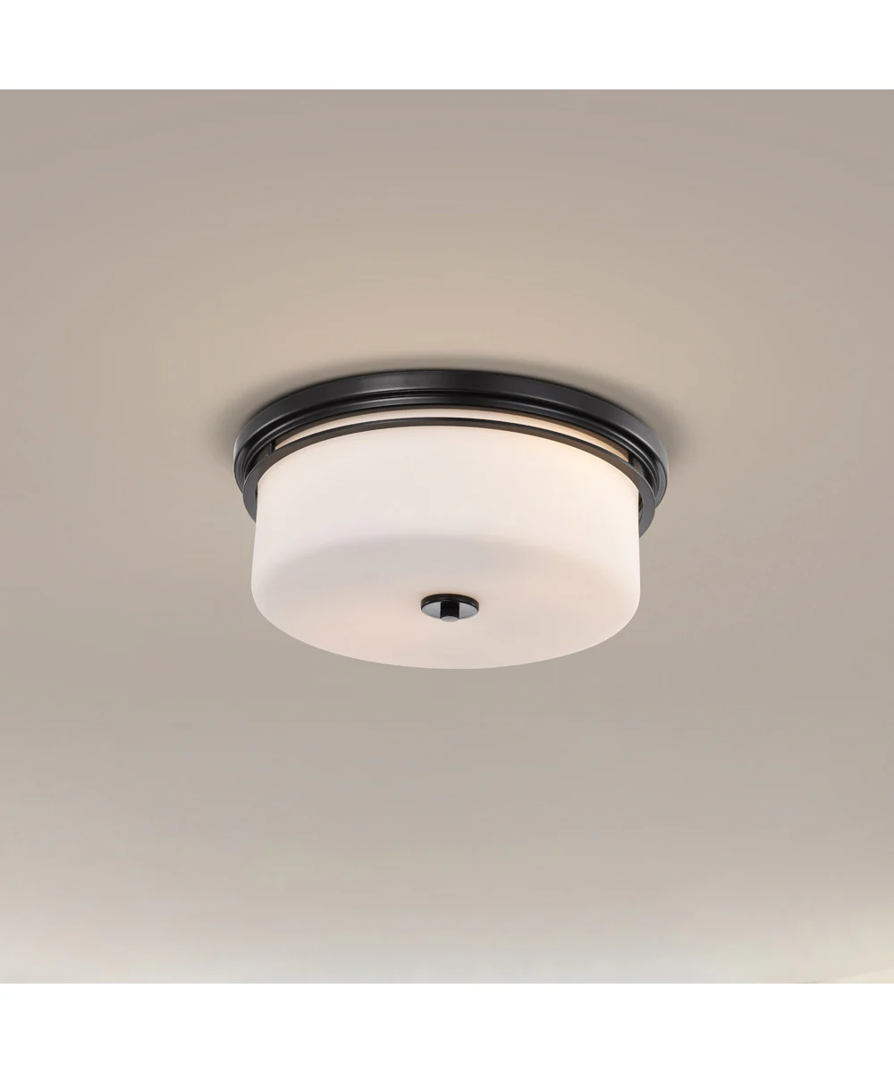 Warren 2-Light Close-to-Ceiling Gun Metal - Image 3
