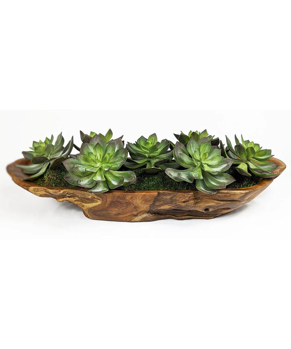 Yuma Succulent Centerpiece
