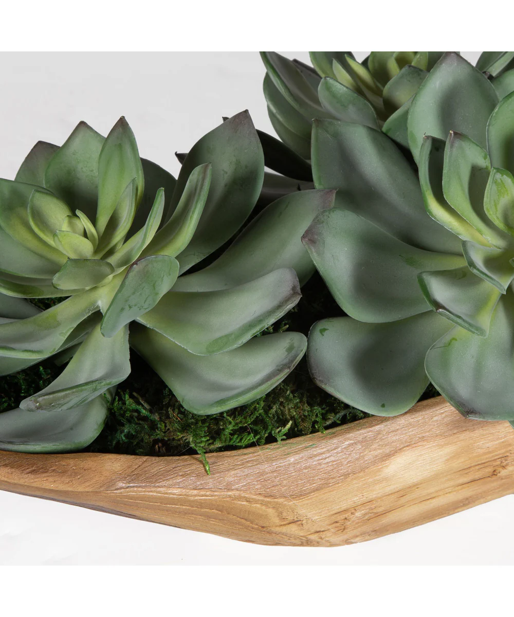 Yuma Succulent Centerpiece - Image 2