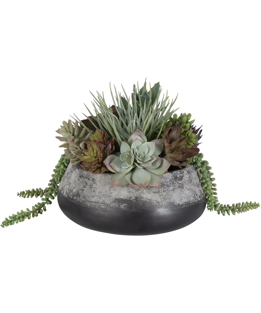 Yuma Succulent Centerpiece - Image 4
